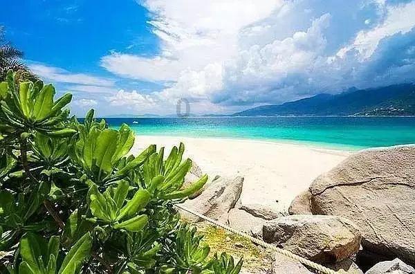 香蜜沉沉烬如霜装扮