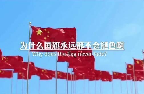 探索有必要小白鞋清洁剂吗世界,尽在红迪网