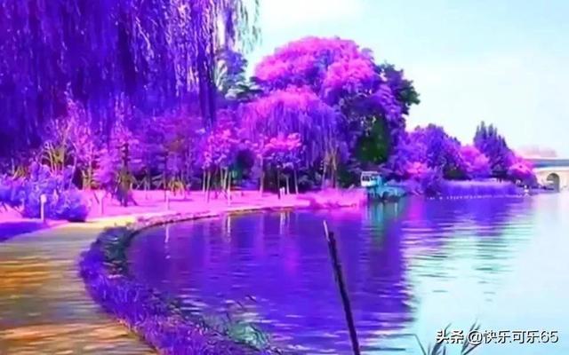 巫师之徒